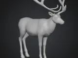 reindeer-1