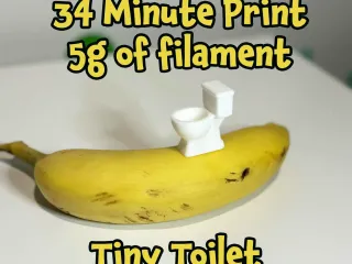Tiny Toilet