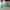 Custodia Hatsune Miku per carte treno/autobus
