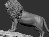 Aslan-5