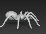 spider-2