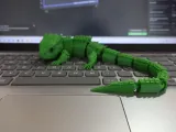 lagarto-1