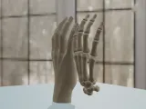 Human Hand Anatomy Bones 3D Print Model-3