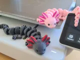 Axolotl Articolato (Multicolore)-0