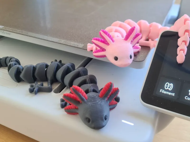 Articulated Axolotl (Multicolor)