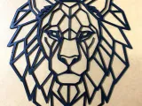 Lion geometry-1