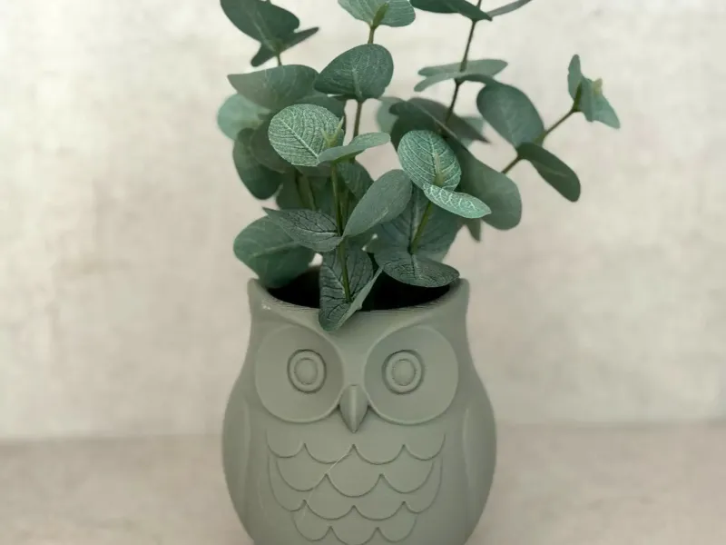 Wise Owl Planter – A Hoot for Your Succulents!