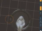 Cas-4