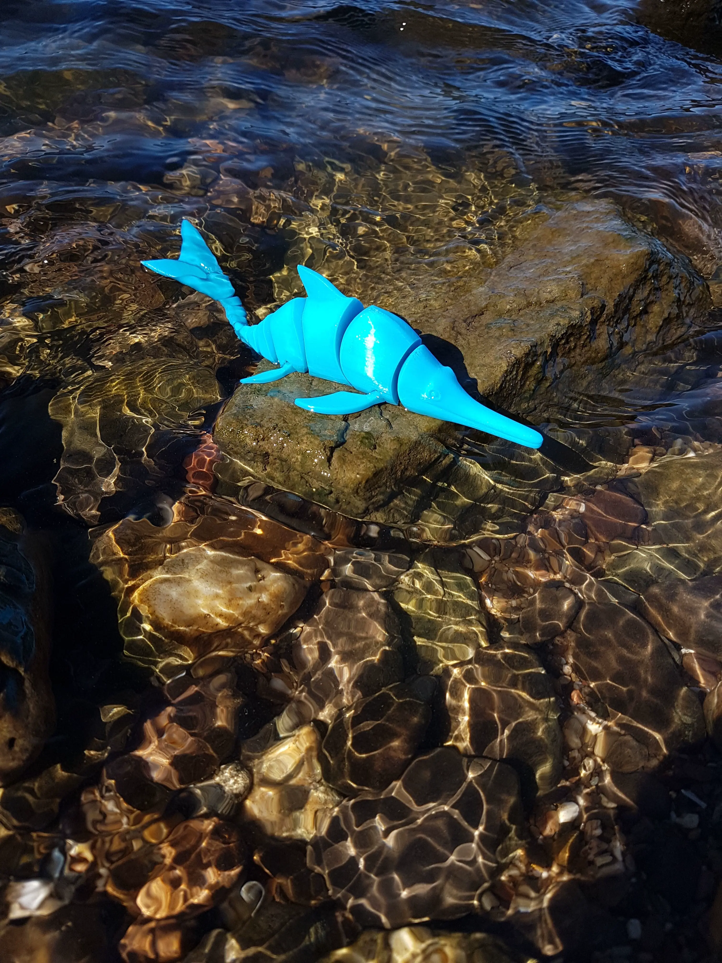 Ichthyosaur Flexi