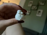 Mini Fat Duck – Funny Collection-2