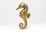 Sea​​horse-7