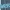 text flip HAPPY\\ANGRY