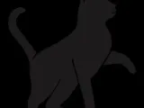 silueta gato-0