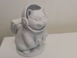 Кошка-5