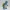 Emerald Wanderer Turtle – Noah0x03