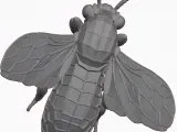 abeille 1-2