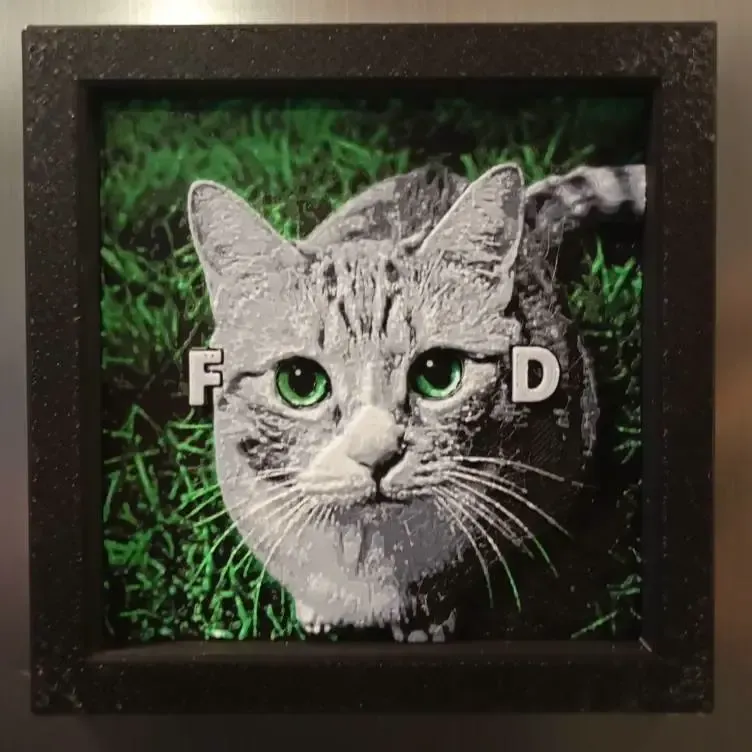 eyes never lie hungry cat frame