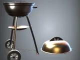 Weber Grill -5