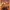Harry Potter 4-Farben-Poster Hueforge 200x200