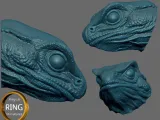 Highly detailed Lizard head Wall hang-1