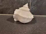 Shell Decor-1