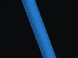 текстурный ролик-0