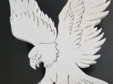 hawk-1