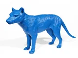 Tasmanian tiger-2