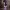 Spectral Ritual Vase - Gothic Ghost Halloween Decor