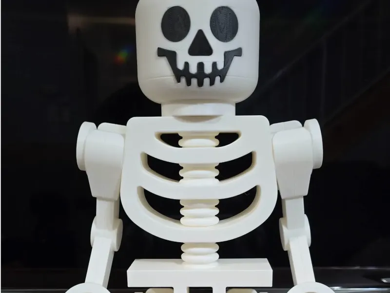 Not Lego Skeleton