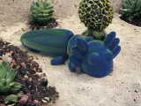 Cute Flexi Axolotl-0