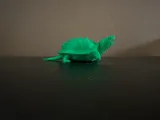Snapping Turtle-3