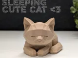 Low Poly Sleeping Cat-0
