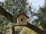 Cute Bird House-8