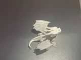Cute Dragon medieval-6