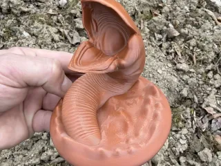 The Worm from Dune