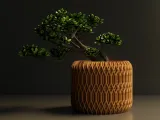 Planter-1