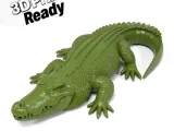 Crocodile-0