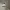 lampscreen minimalist