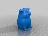 Lucky Pig-2