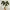 Flower vase