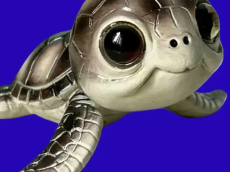 Neugierige Babyschildkröte