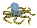 Polvo 2.0-4