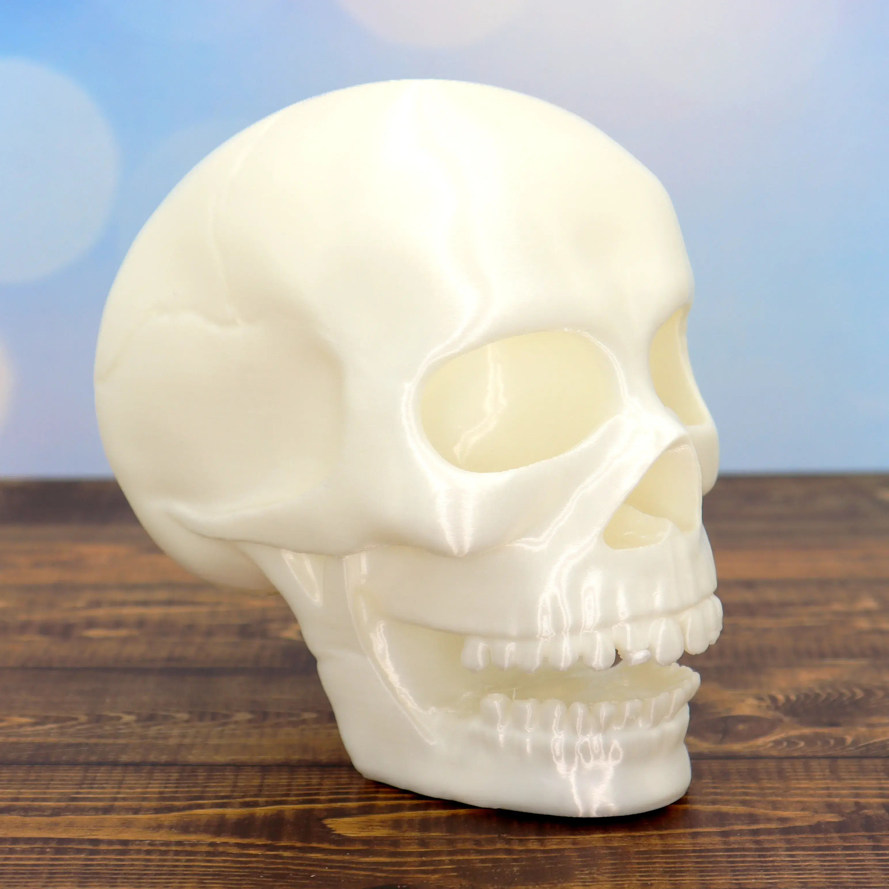 Spooky Skull Halloween decor