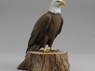 Bald Eagle