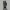Jungle Stone Warden – Ancient Guardian Statue Diorama