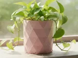 Beautiful Geometric Pot-0