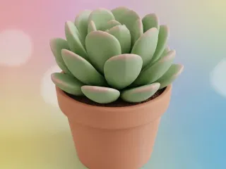 Suculenta
