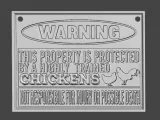 trained chickens-0