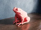 Low Poly Frog-4